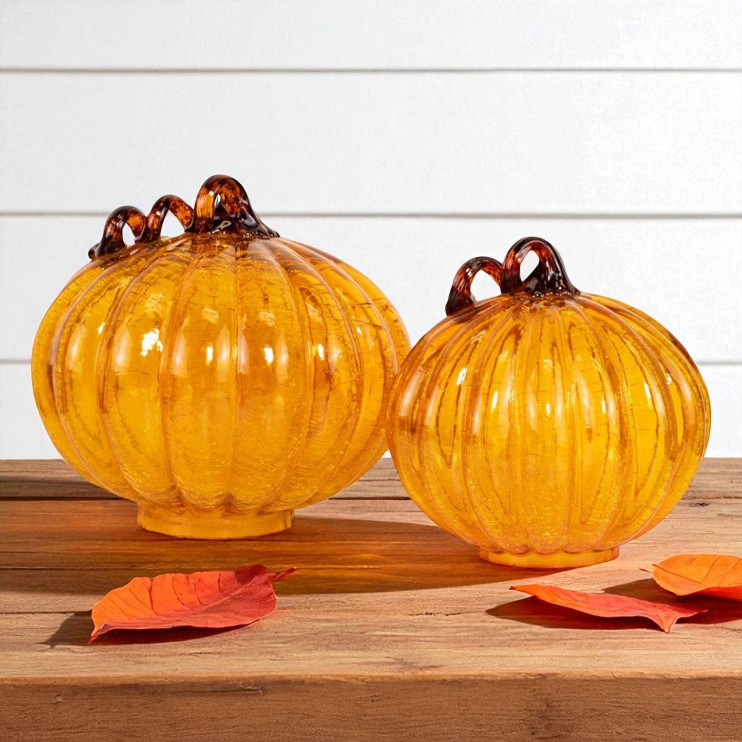 Dawson Orange Pumpkin - 8"x9"