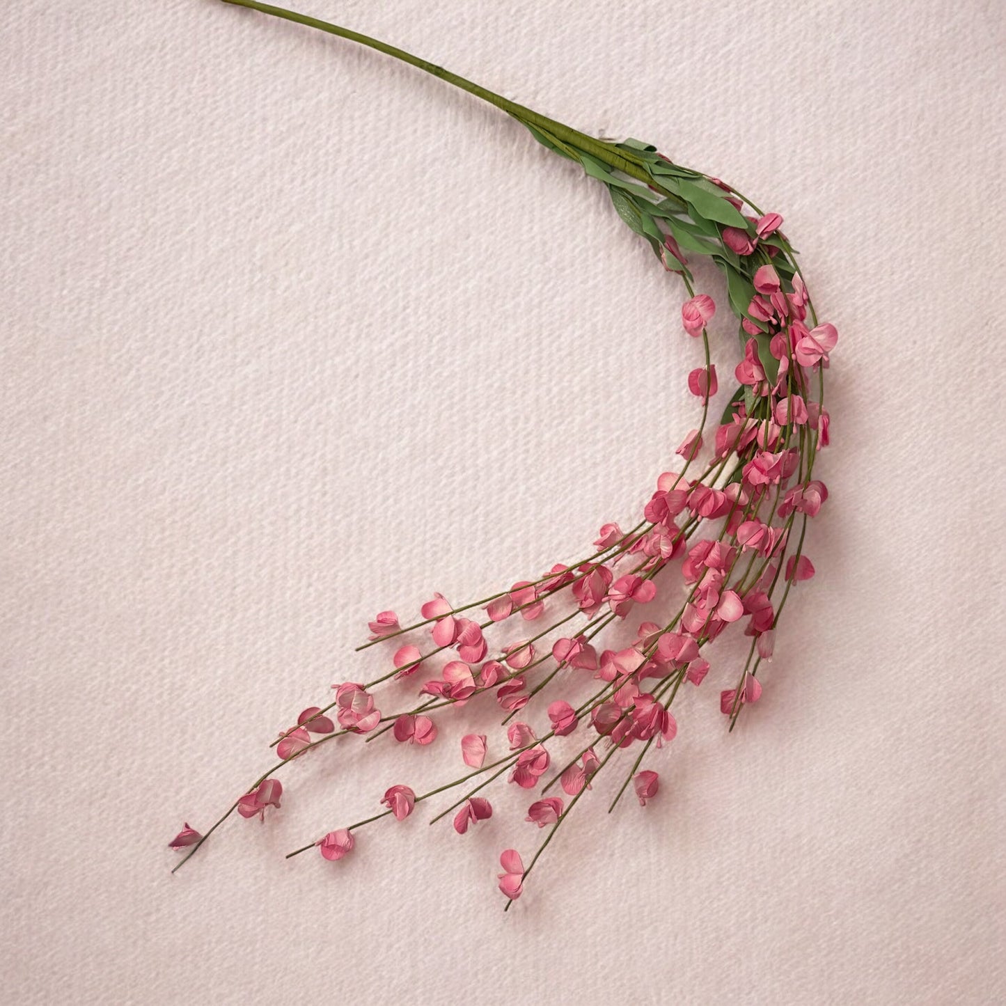 Pink Hanging Wisteria - 4'