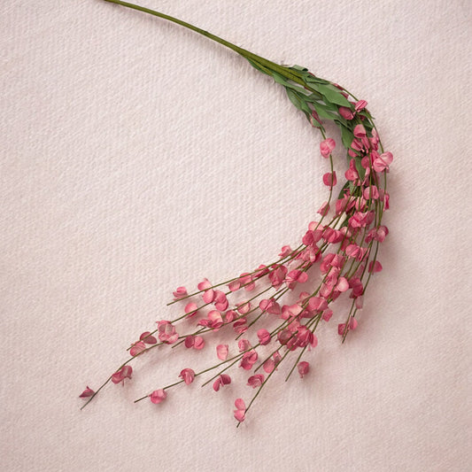 Pink Hanging Wisteria - 4'