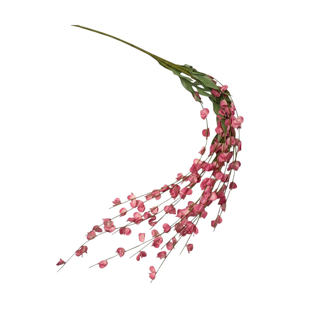 Pink Hanging Wisteria - 4'