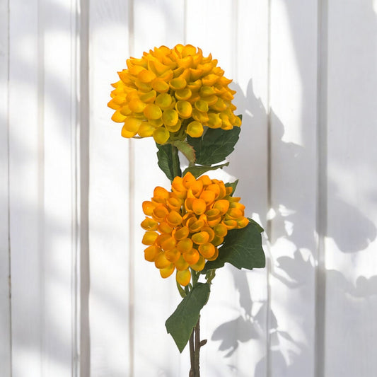 Pomeroy Sunshine Dahlia Spray - 20"