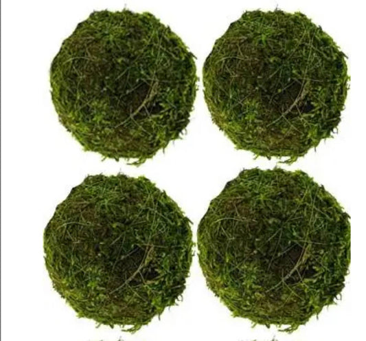 Moss balls, dried moss orbs - 4in