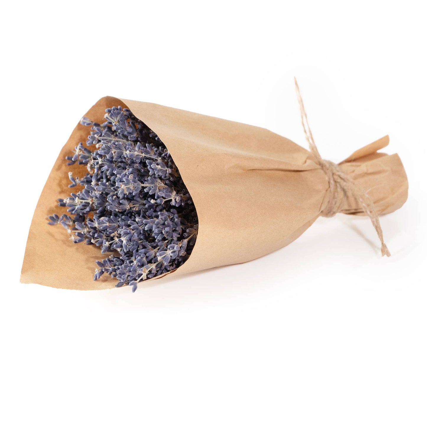 Mini French Lavender Bundle