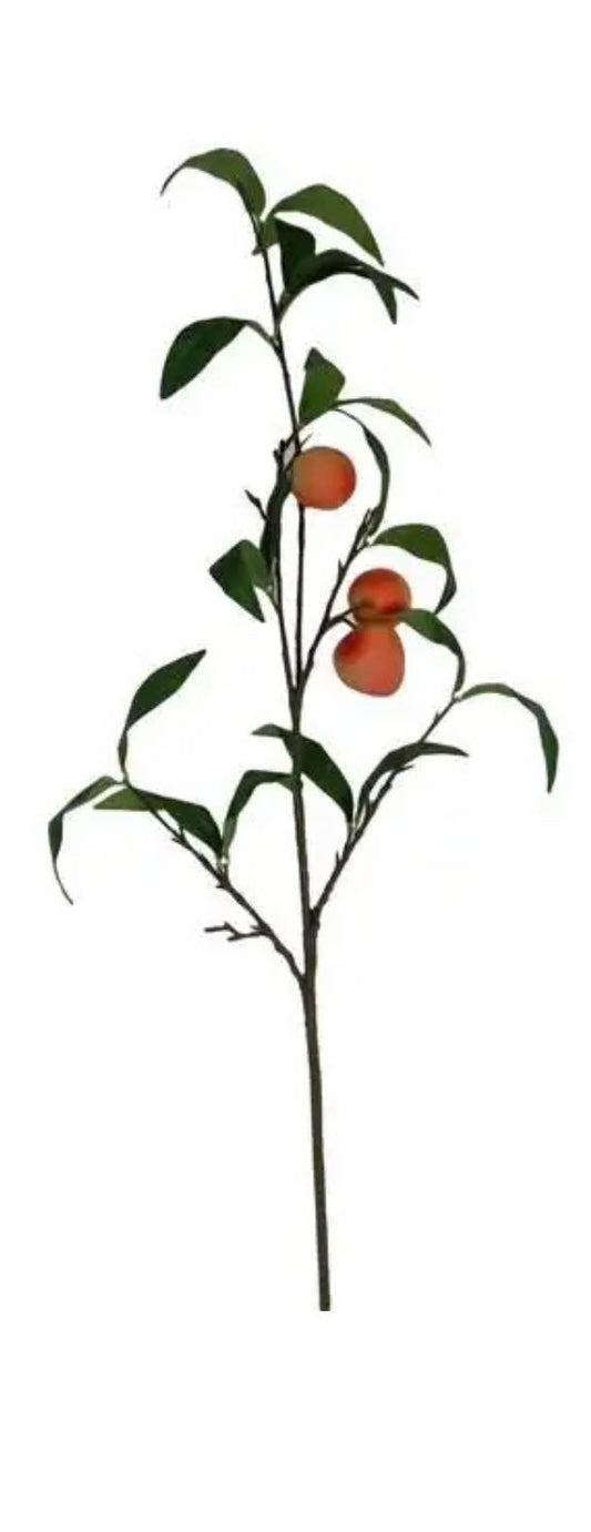 Long Peaches Stem